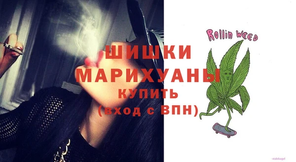 сатива Вязники