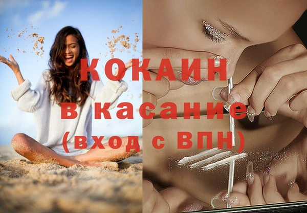 сатива Вязники