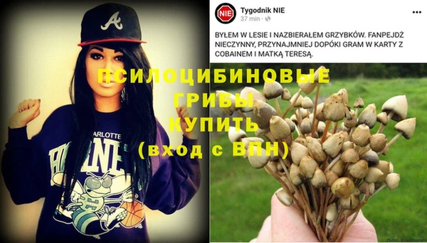 mdpv Вяземский