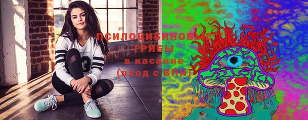 mdpv Вяземский