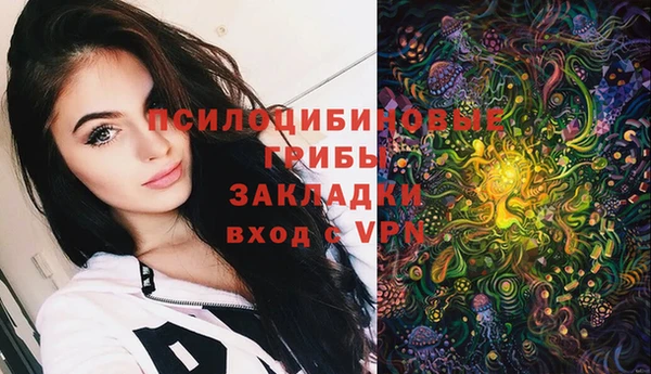 mdpv Вяземский