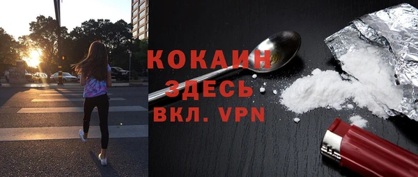 сатива Вязники