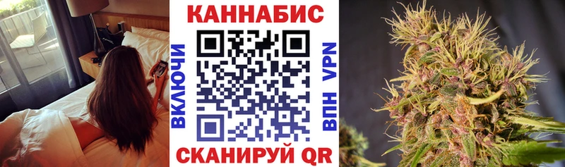 Бошки марихуана THC 21%  hydra как войти  Черногорск 